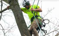 Monster Tree Service Green Country East image 2